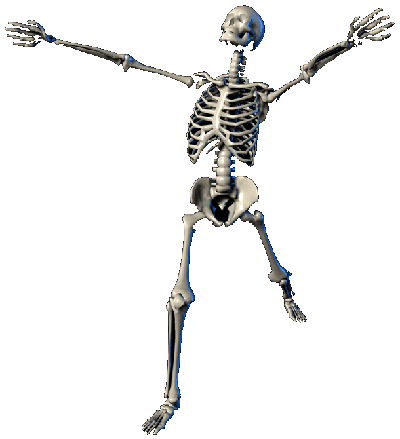 west hollywood chiropractic